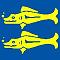 bluebarracudas