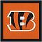 Bengals1181