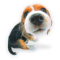 buio2005
